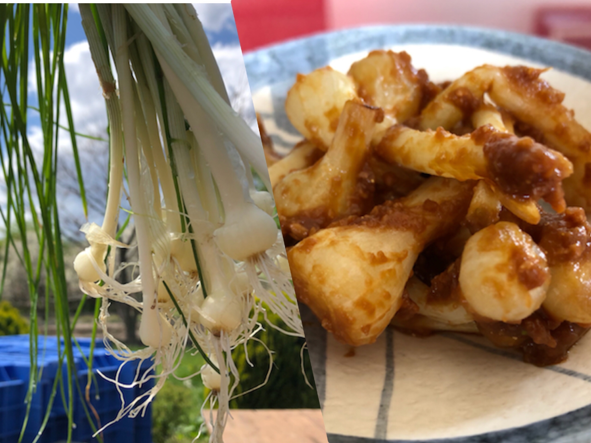 山菜❤️のびる酢味噌和え