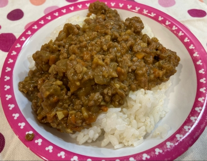 インド料理の定番！キーマカレー！