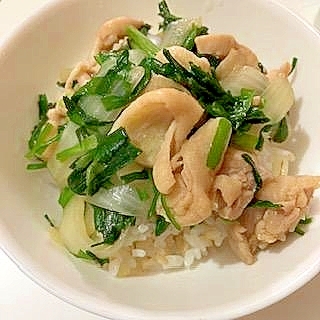 鶏もも・玉ねぎ・ニラの炒め物で 丼