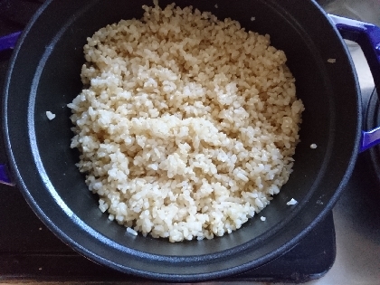 ストウブDE〜発芽玄米＆押麦ご飯