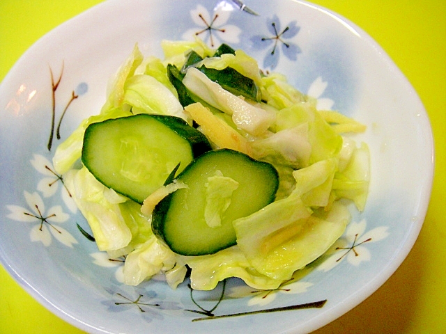 キャベツときゅうり生姜の浅漬け レシピ 作り方 By Mint 楽天レシピ キャベツときゅうり生姜の浅漬け レシピ 作り方 By Mint 楽天レシピ