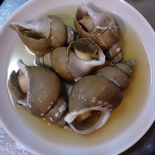 お酒がすすまぬわけがない バイ貝の醤油酒蒸し レシピ 作り方 By 酔いどれんぬ 楽天レシピ お酒がすすまぬわけがない バイ貝の醤油酒蒸し レシピ 作り方 By 酔いどれんぬ 楽天レシピ