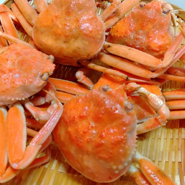 セコガニのゆで方 レシピ 作り方 By まつごろう 楽天レシピ セコガニのゆで方 レシピ 作り方 By まつごろう 楽天レシピ