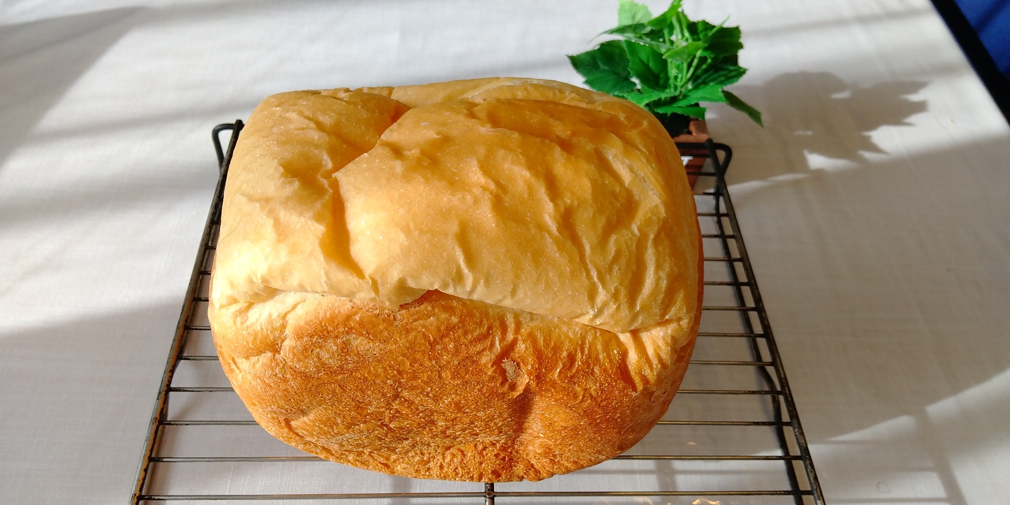 ☆ノンカロリーシロップで作る食パン
