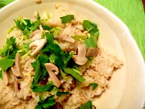 秋のごちそう 松茸ごはん レシピ 作り方 By Rose24 楽天レシピ 秋のごちそう 松茸ごはん レシピ 作り方 By Rose24 楽天レシピ