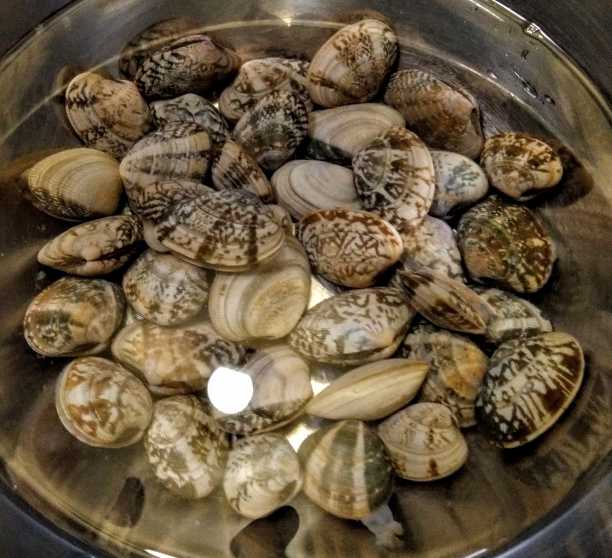 3oznthx4cswf9m 3oznthx4cswf9m