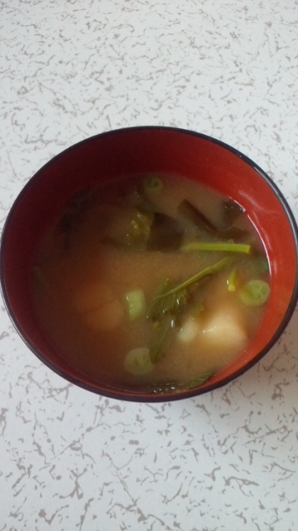 朝食にお麩も一緒に入れて作りました♪菜の花を食べると春を実感して美味しいですよね＾＾
ご馳走様でした～