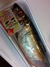 豪快に 丸ごと1本ニシン焼き レシピ 作り方 By アボカドプリン 楽天レシピ 豪快に 丸ごと1本ニシン焼き レシピ 作り方 By アボカドプリン 楽天レシピ