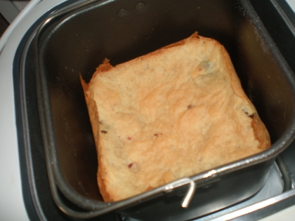 発酵の段階ではけっこう膨らんでいたのに、焼けたらしぼんでいました（涙）。標準コースでやったのが原因でしょうか？分かったら教えてください。