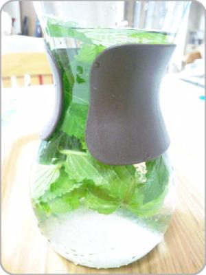 爽やか ミント水 レシピ 作り方 By Ko Haruママ 楽天レシピ 爽やか ミント水 レシピ 作り方 By Ko Haruママ 楽天レシピ