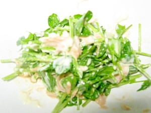 豆苗とシーチキンのマヨ醤油サラダ