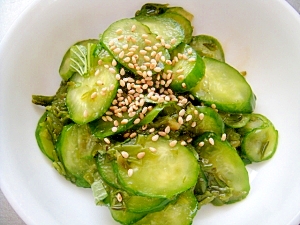 生刻みめかぶレシピ 作り方の人気順 簡単料理の楽天レシピ