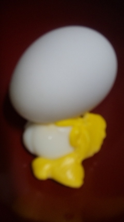 しさびさに卵2個で早ゆでしましたぁｗ
殻が剥けやすいように途中鍋をふって殻にヒビを入れてるのですが、
ちょっと強すぎたか、こんな卵が出来上がりましたぁｗｗ♪