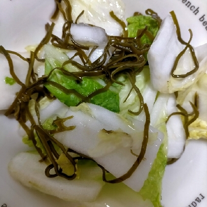 白菜の塩昆布の酢の物