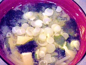 豆腐とモヤシのお味噌汁