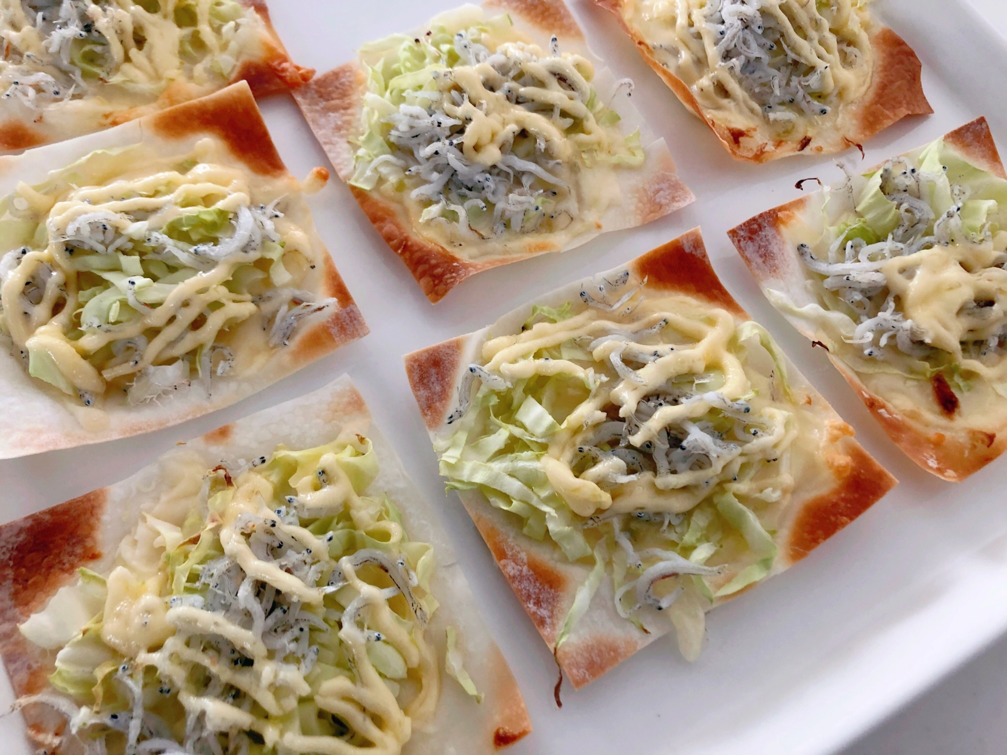 白いお皿に盛り付けられたしらすキャベツのチーズピザ