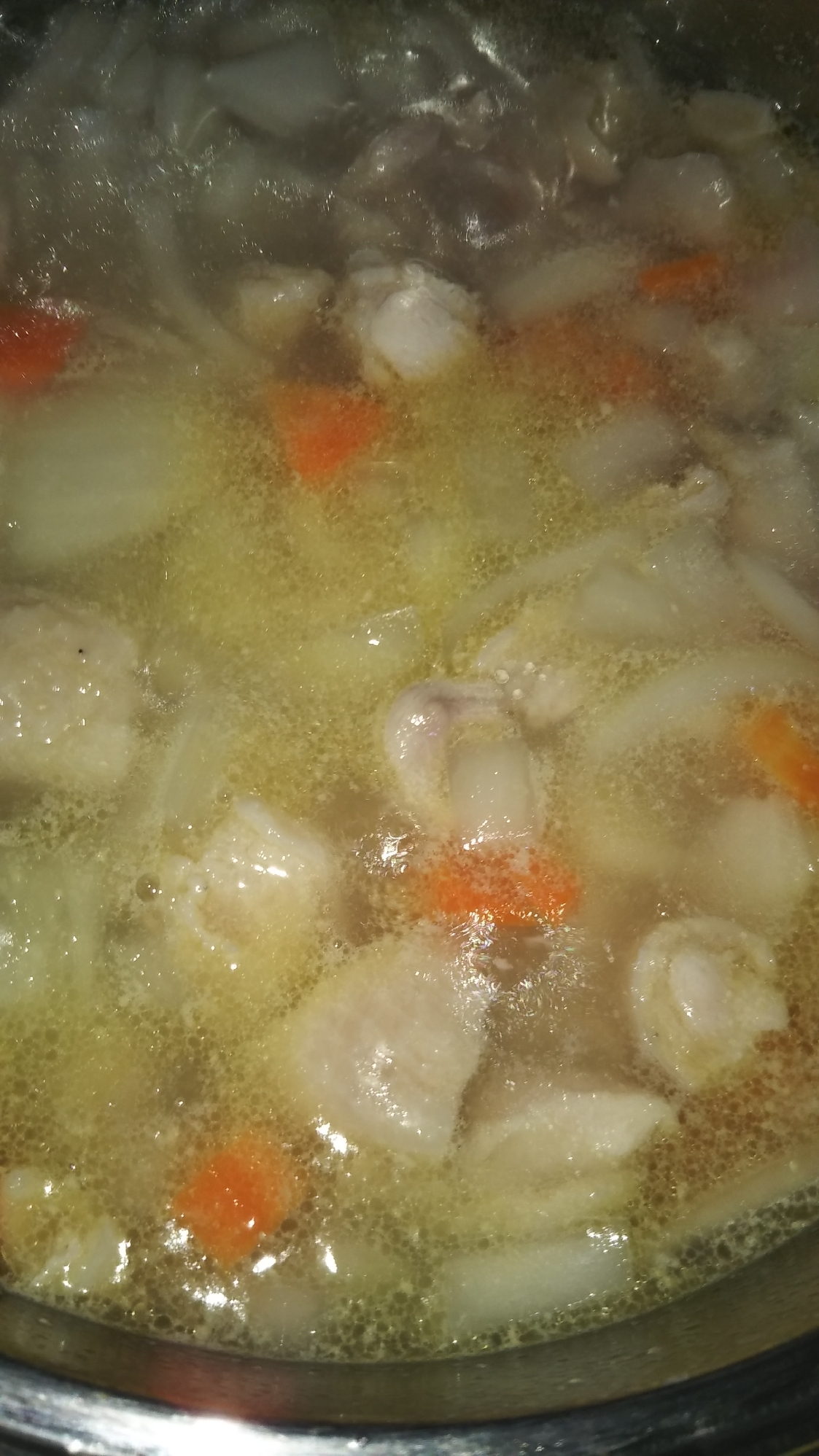 鶏肉と野菜のスープ(◕ᴗ◕✿)