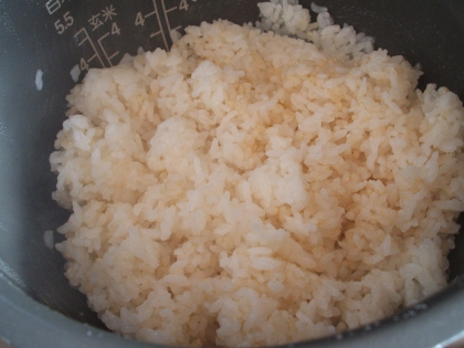 発芽玄米入りです。玄米と塩麹で健康になった気分です。気分だけではだめですが(笑)おいしくいただきました。