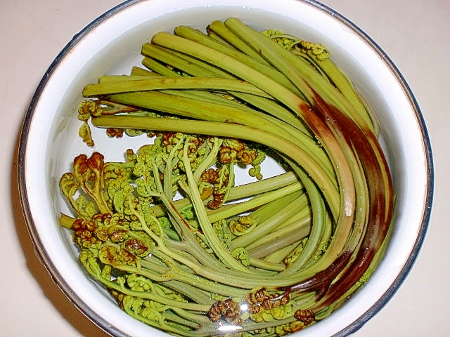 蕨 わらび のアク抜き方法 レシピ 作り方 By Suzhoutomo 楽天レシピ