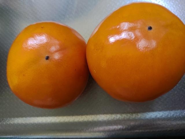 柿を甘く食べる見分け方(熟しすぎた柿活用法)