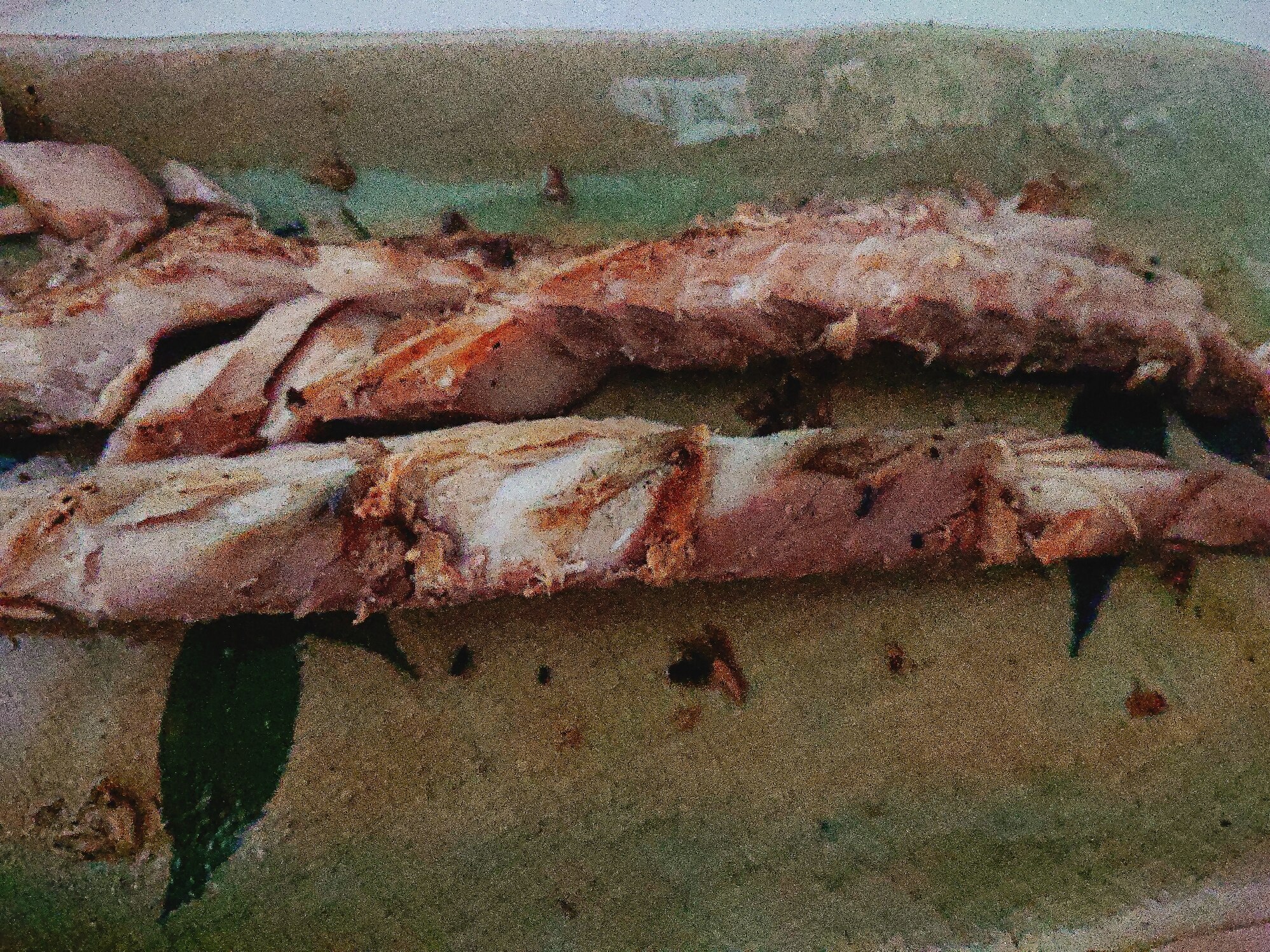 子供も 大好き鯖の甘辛焼き レシピ 作り方 By 膝小僧 楽天レシピ