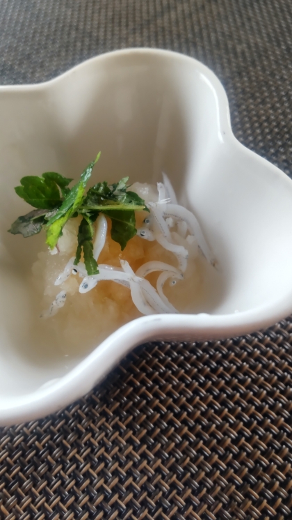 大根　大根おろしとちりめんじゃこの和え物