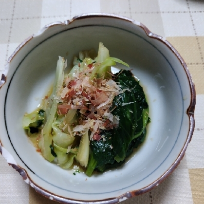 箸休めに最適な、小松菜とキャベツのおひたし