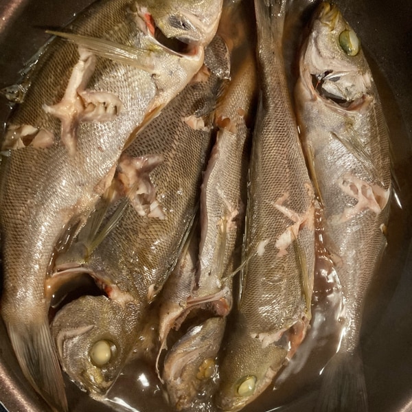 いさきの煮付け レシピ 作り方 By Pコ 楽天レシピ いさきの煮付け レシピ 作り方 By Pコ 楽天レシピ