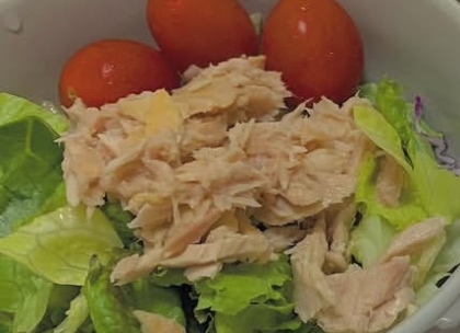 レタス、トマト、きゅうり、ツナのサラダ