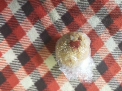 いちねこちゃんo(^-^o)(o^-^)oいわしの缶詰➕梅マヨネーズおにぎり美味しかったです✨( ≧∀≦)ノリピにポチ✨✨いつもありがとうございます( ≧∀≦)
