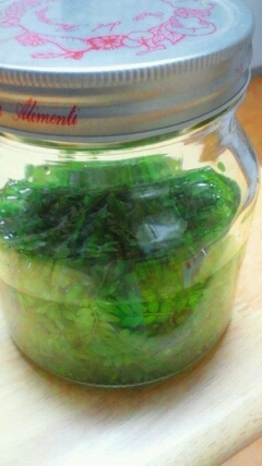 山椒 新芽の塩漬け レシピ 作り方 By かおチュワン 楽天レシピ 山椒 新芽の塩漬け レシピ 作り方 By かおチュワン 楽天レシピ