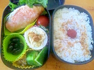 学生低カロリーお弁当