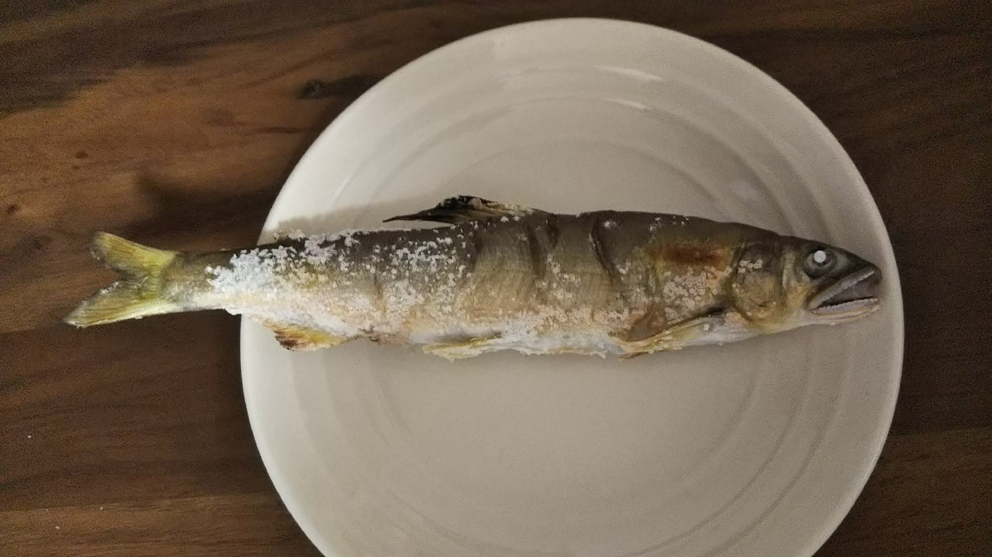 魚焼きグリルを使った鮎の塩焼き