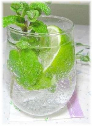 スッキリさわやか ライム ミントソーダ レシピ 作り方 By はなまる子 楽天レシピ スッキリさわやか ライム ミントソーダ レシピ 作り方 By はなまる子 楽天レシピ