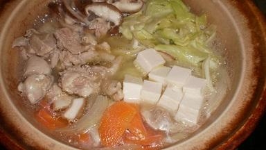 寒い日に鶏もも肉で水炊き