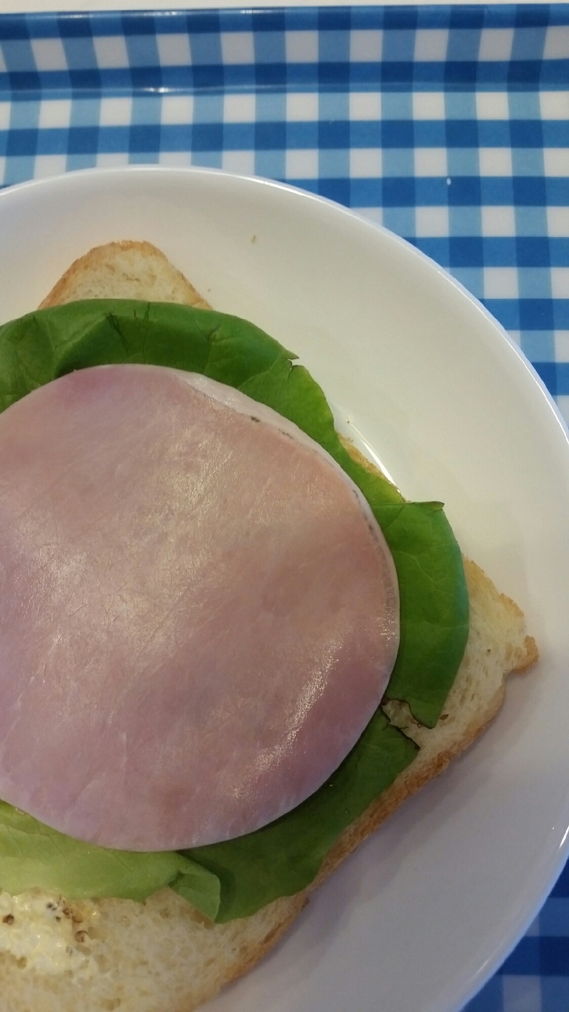 サラダ菜とハムのサンドイッチ