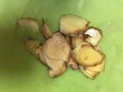 ハマチ カマ 切身 煮付け レシピ 作り方 By Rinrinkao 楽天レシピ ハマチ カマ 切身 煮付け レシピ 作り方 By Rinrinkao 楽天レシピ