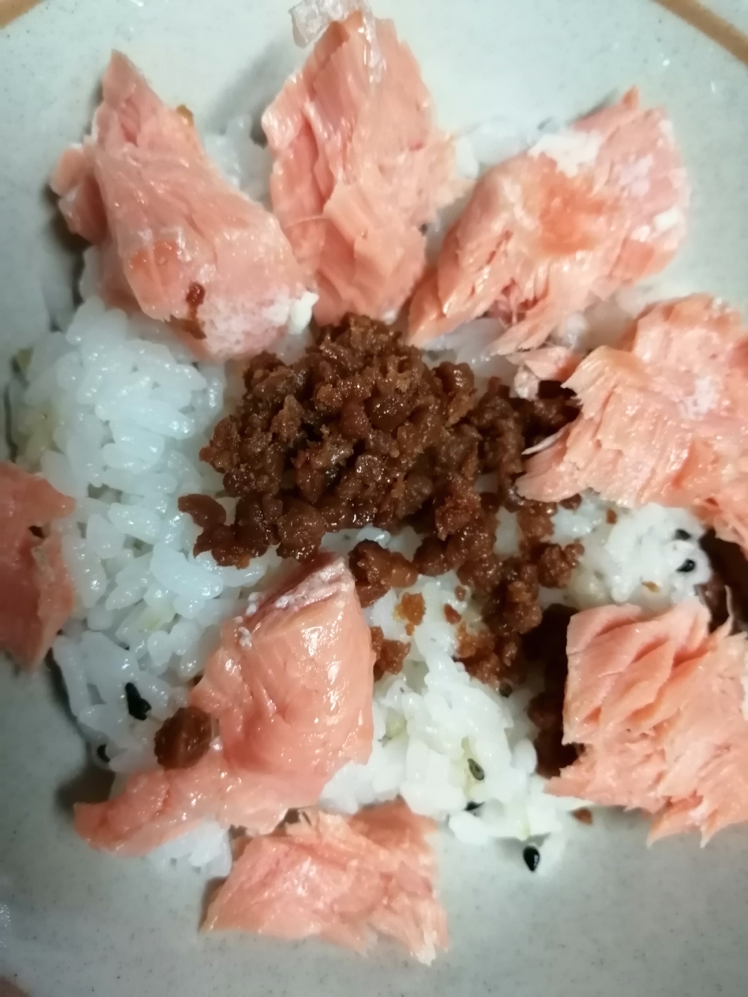 鮭と鶏挽き肉入りご飯
