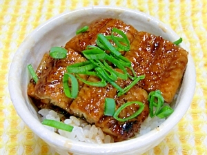 タレが決め手！うなぎ丼☆