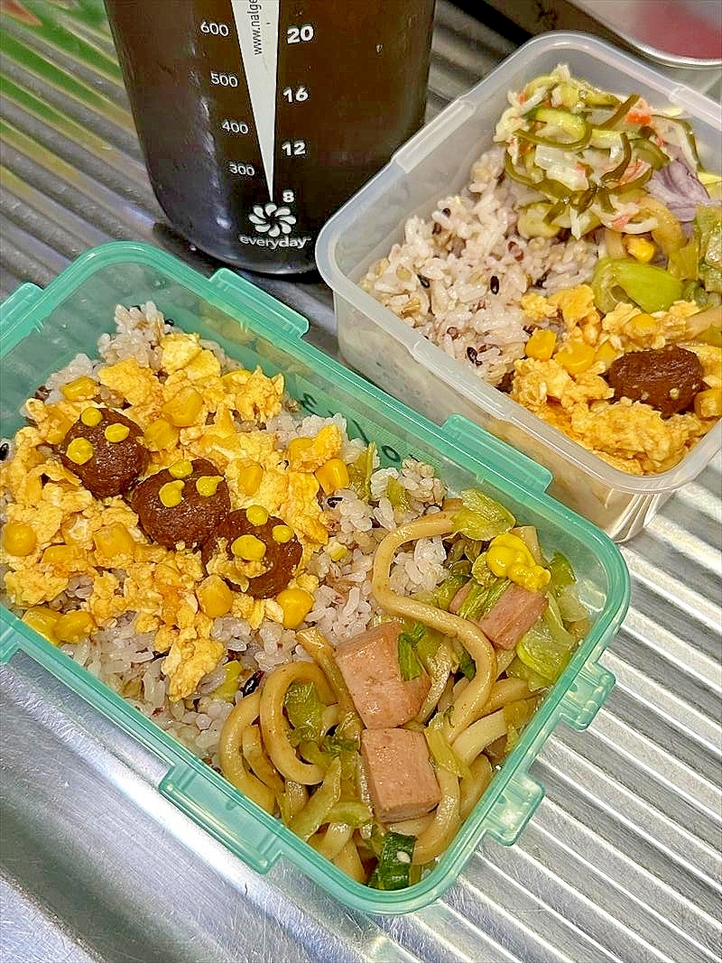 残りもの焼うどんにたまごのおかずできれいだな弁当