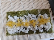 沢庵 たくあん 巻物 レシピ 作り方 By Togtog 楽天レシピ