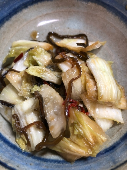 塩昆布と白菜の簡単浅漬け