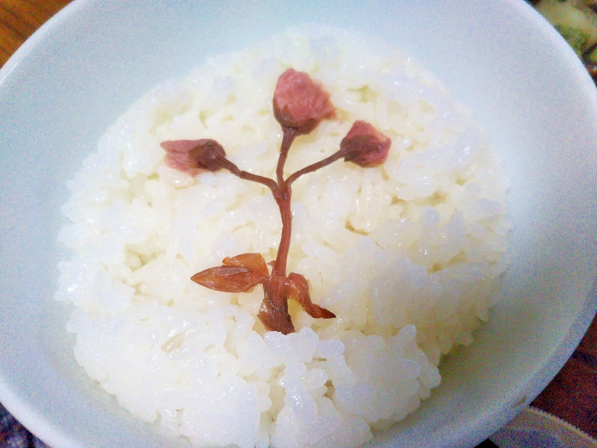 年 母の日 カーネーションご飯 レシピ 作り方 By あけぼのマジック 楽天レシピ