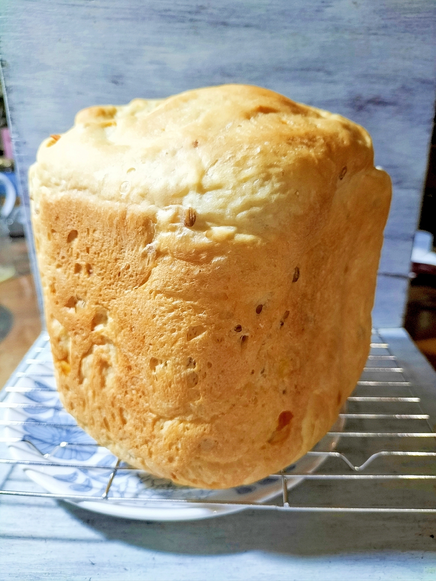 オレンジピールたっぷりもち麦ご飯パン