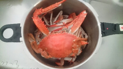 ワタリガニのゆで方と捌き方 レシピ 作り方 By 瀬戸内たいたいclub 楽天レシピ ワタリガニのゆで方と捌き方 レシピ 作り方 By 瀬戸内たいたいclub 楽天レシピ
