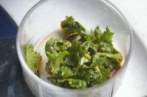 辛子菜の醤油漬け