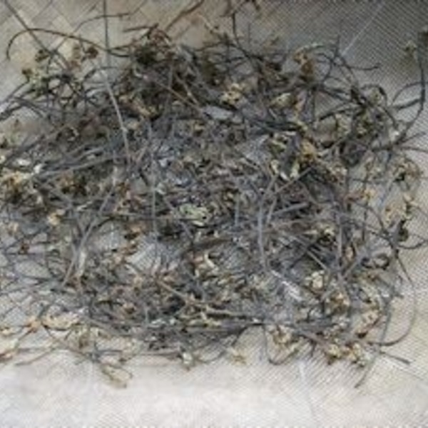 長期保存ok 干しわらび 干しゼンマイの作り方 レシピ 作り方 By Nkkmarine 楽天レシピ 長期保存ok 干しわらび 干しゼンマイの作り方 レシピ 作り方 By Nkkmarine 楽天レシピ