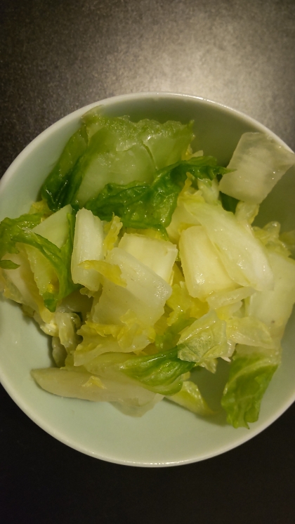 ★すぐ食べられる！白だしで白菜の浅漬け　白菜漬け★