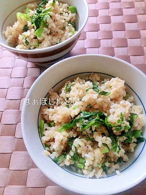 からし菜の漬物とごまの混ぜご飯✿