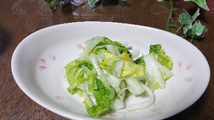 白菜と柚子の浅漬け